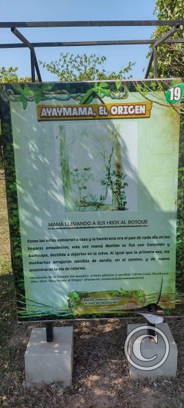 Parque la Lupuna (35)