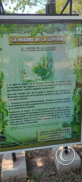 Parque la Lupuna (6)