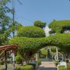 Plaza de Armas de Yarinacocha (10)
