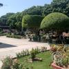Plaza de Armas de Yarinacocha (3)