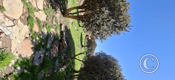 Jiron Pucara and Jiron Tacna (2)