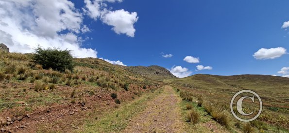 View from a dirt road going up the hill (6)