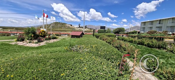 Garden at Hotel El Buho (3)