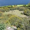 Isla Esteves (5)