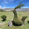 Isla Esteves