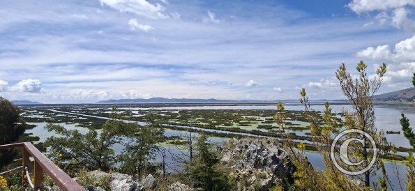 view from Isla Esteves