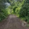 Road up to Mirador Satipo (2)