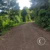 Road up to Mirador Satipo