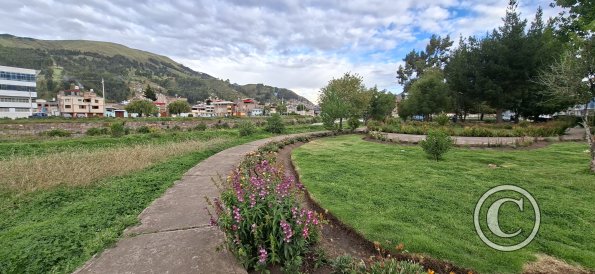 Parque Agricultura at Calle Los Cetaceos and Jiron Los Amarantus (2)