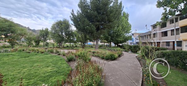 Parque Agricultura at Calle Los Cetaceos and Jiron Los Amarantus (3)