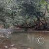 IMG_20250712_143703908_HDR
