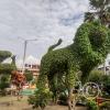 IMG_20250713_092133107_HDR