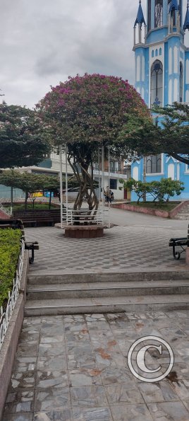 IMG_20250719_112137058_HDR