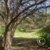 Caral - Trailhead at parking lot