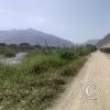 Caral - road to the site