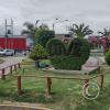 Parque De Topiarios Animales - Av. Gustavo Pinto (3)