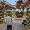 Parque De Topiarios Animales - Av. Gustavo Pinto (5)