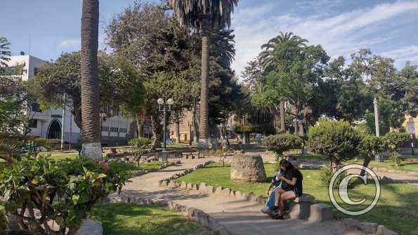 Plaza Colon