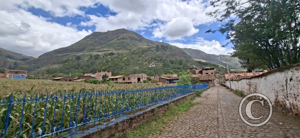 Calle Rosario