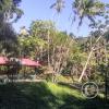 Forest Reserve of UNAS (18)