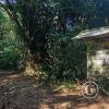 Forest Reserve of UNAS (3)