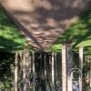 Forest Reserve of UNAS (34)