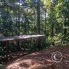 Forest Reserve of UNAS (5)