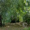 Jardin Botanico 2