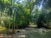 Jardin Botanico 3