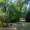 Jardin Botanico 3