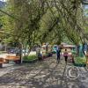 Parque Ramon Castilla 1