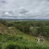 Between Juanjui and Tingo de Saposoa (4)