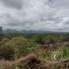 Between Juanjui and Tingo de Saposoa