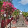 One of the few streets in Tingo de Saposoa (7)