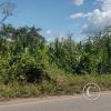 The highway outside of Tingo de Saposoa