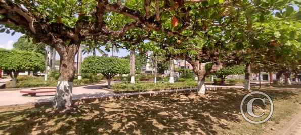 Plaza de Tocache 9