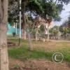 Parque hermanos blancos