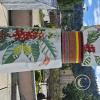 Plaza de Armas at Av Leopoldo Krausse and Jiron Cooperativa (13)