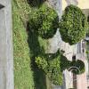 Plaza de Armas at Av Leopoldo Krausse and Jiron Cooperativa (8)