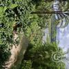 view from Finca de Torre park of the lake