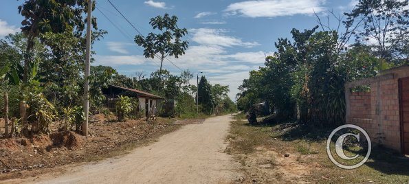 In the western neighborhood (2)