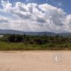 In the western neighborhood (5)
