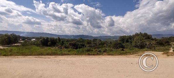 In the western neighborhood (5)