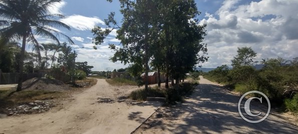 In the western neighborhood (6)
