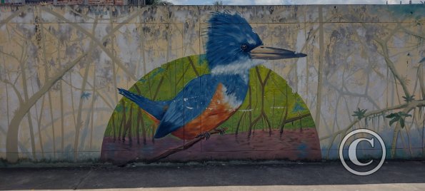 Mural across from the plaza (2)