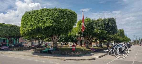 The Town Plaza (3)