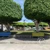 The Town Plaza