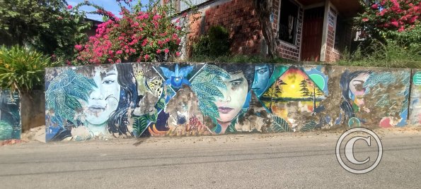 Mural - Pasaje Rioja near Coronel Portillo