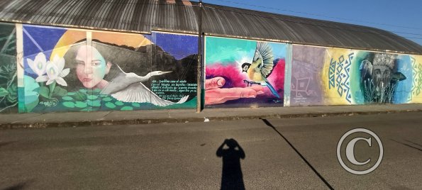 Mural at Jiron Iquitos and Calle Zamora (2)