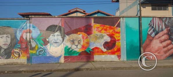 Mural at Jiron Iquitos near Calle Zamora (3)